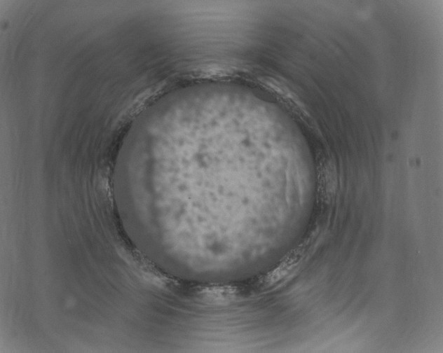 X0000072990415200608211521