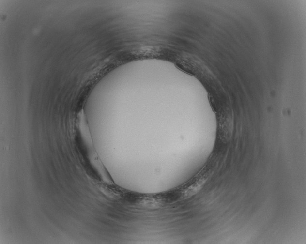 X0000072990416200608211521