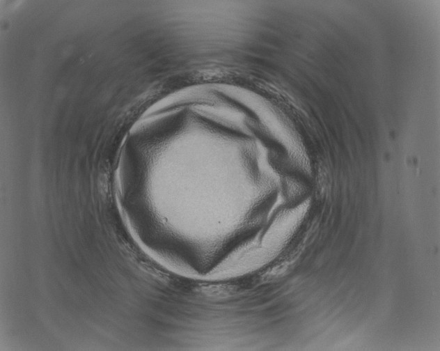 X0000072990417200608211521