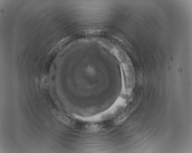 X0000072990419200608211521