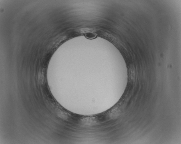 X0000072990422200608211521