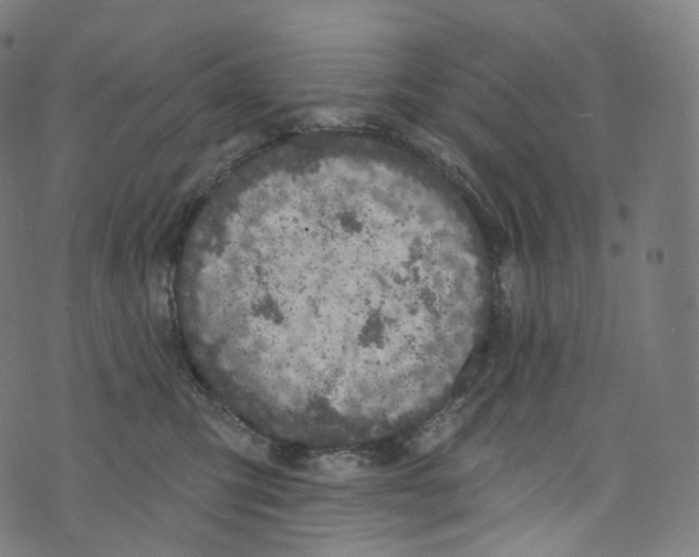 X0000072990423200608211521