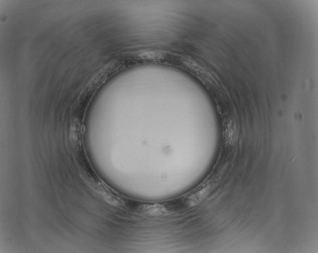 X0000072990424200608211520