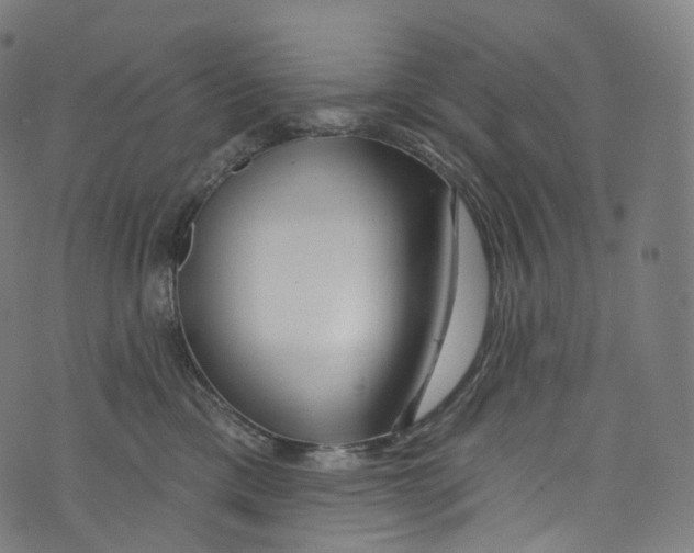 X0000072990425200608211520