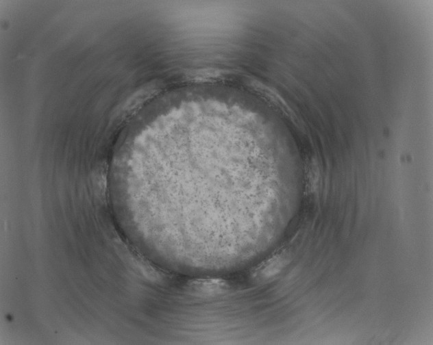 X0000072990427200608211520