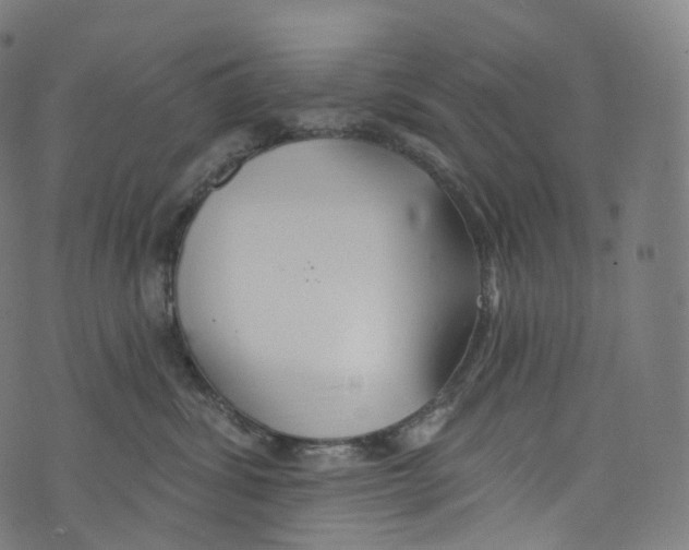 X0000072990428200608211520