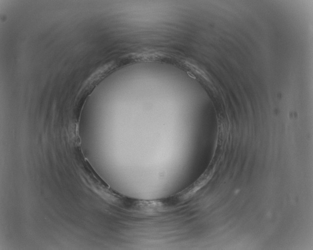 X0000072990429200608211520