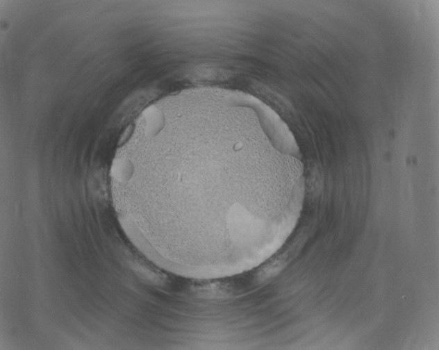 X0000072990430200608211520