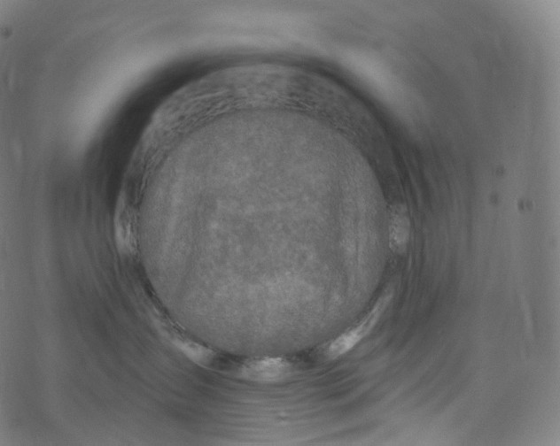 X0000072990431200608211520