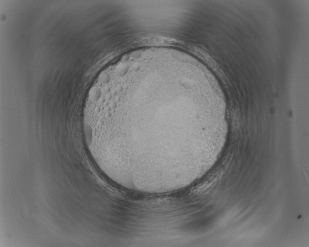 X0000072990433200608211520