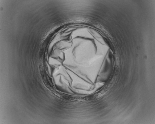 X0000072990434200608211520