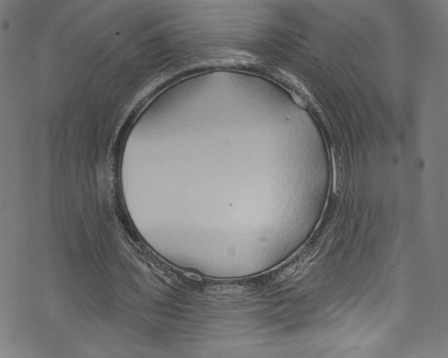 X0000072990435200608211520