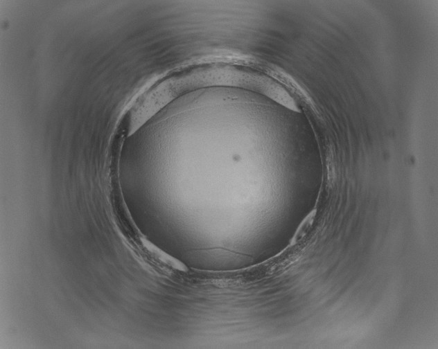 X0000072990436200608211520