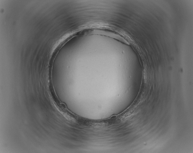 X0000072990438200608211520