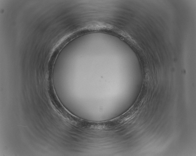 X0000072990440200608211520