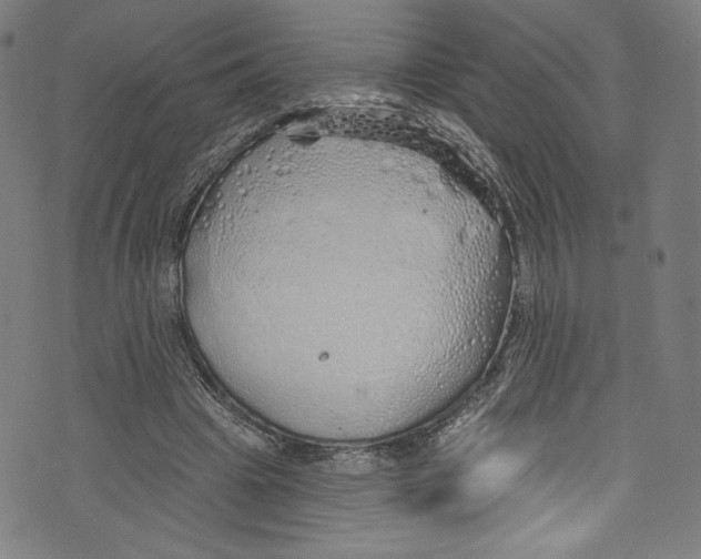 X0000072990441200608211520