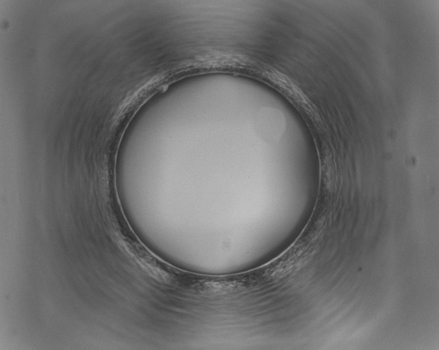 X0000072990442200608211520