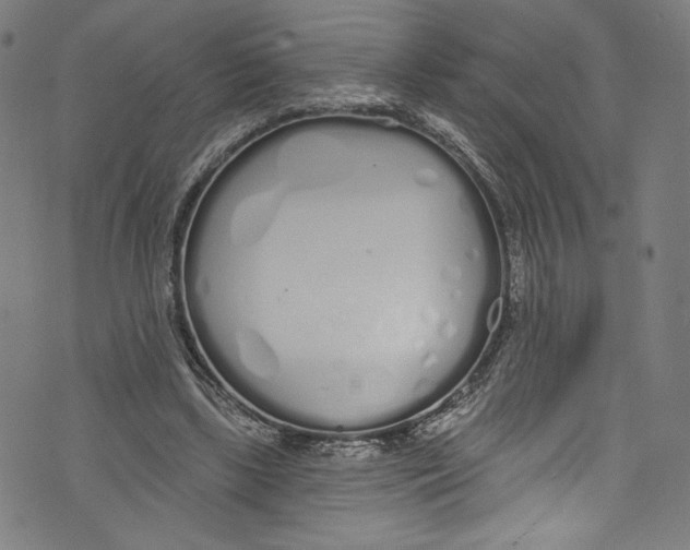 X0000072990443200608211520