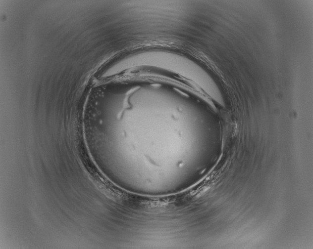 X0000072990444200608211520