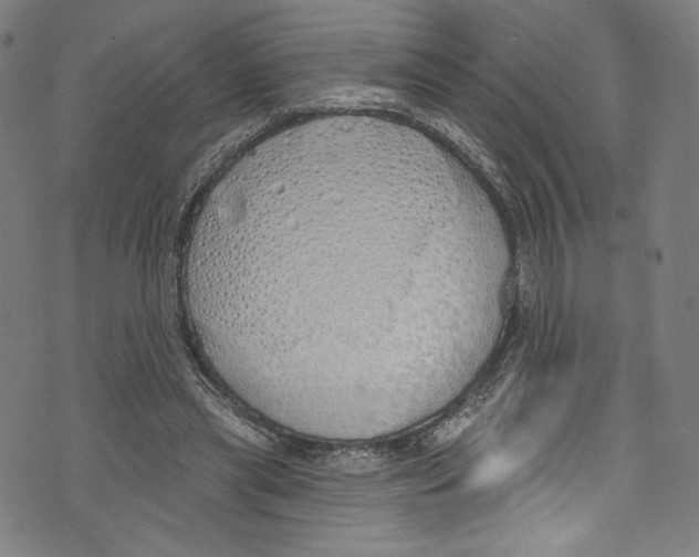 X0000072990445200608211520