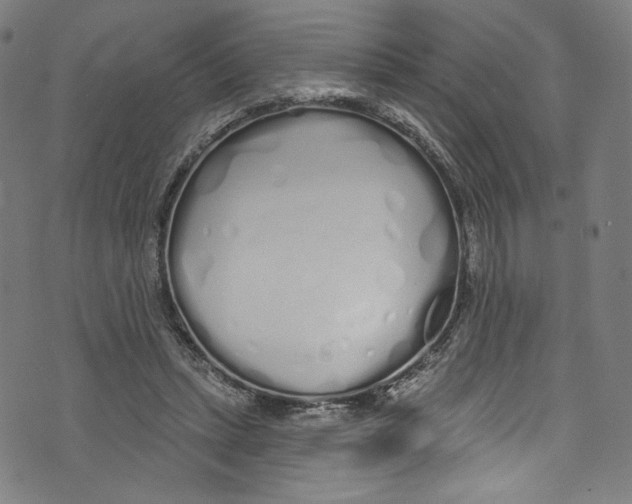 X0000072990447200608211520