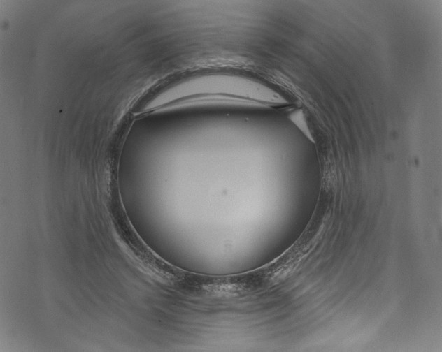 X0000072990448200608211520