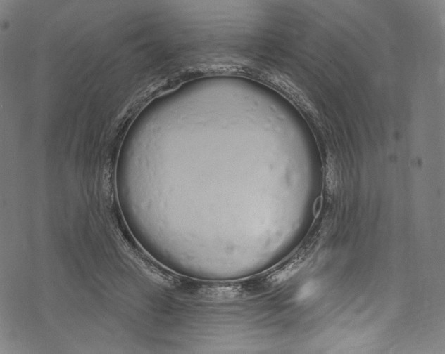 X0000072990449200608211520