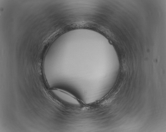 X0000072990450200608211520