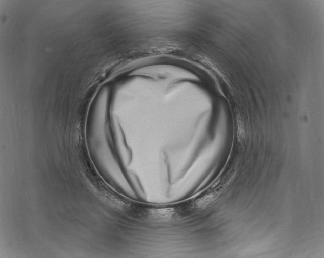 X0000072990451200608211520