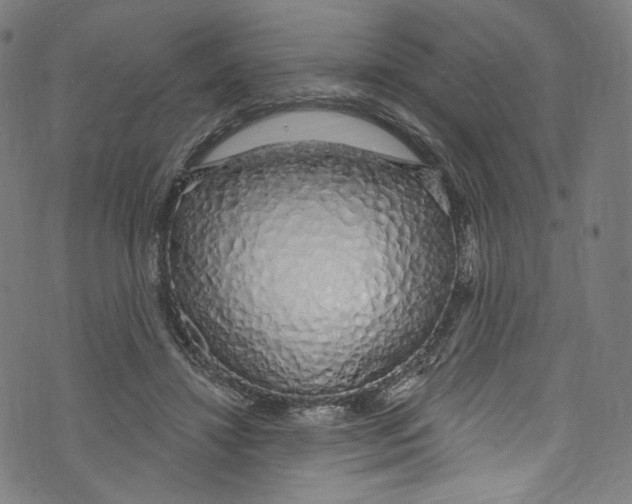 X0000072990452200608211520