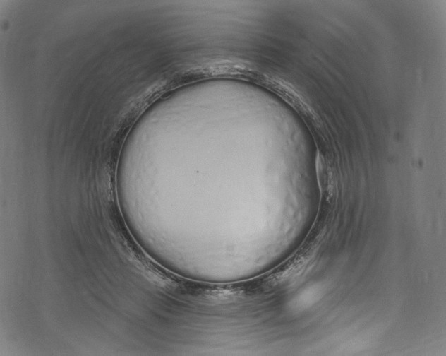 X0000072990453200608211520