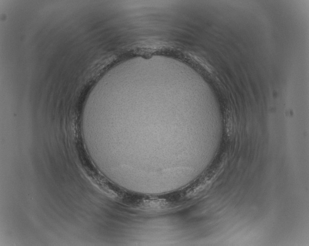 X0000072990455200608211520