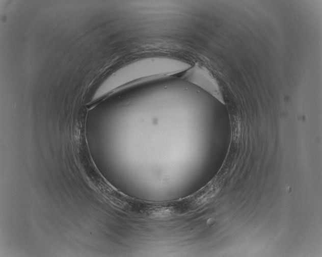 X0000072990456200608211520