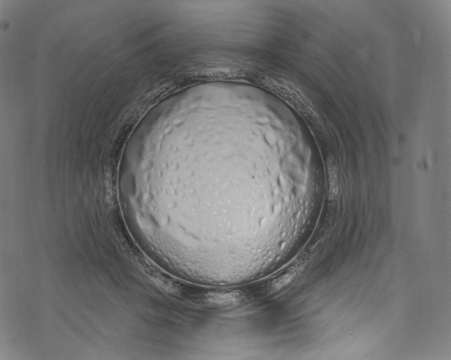 X0000072990457200608211520