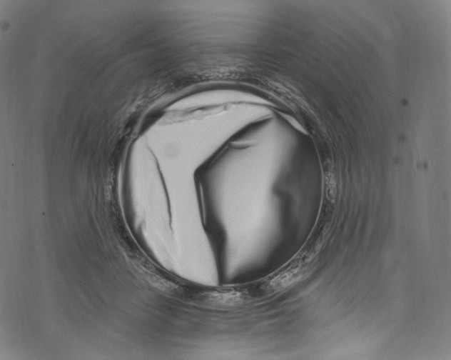 X0000072990458200608211520