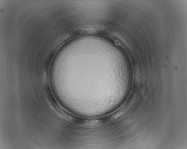 X0000072990459200608211520