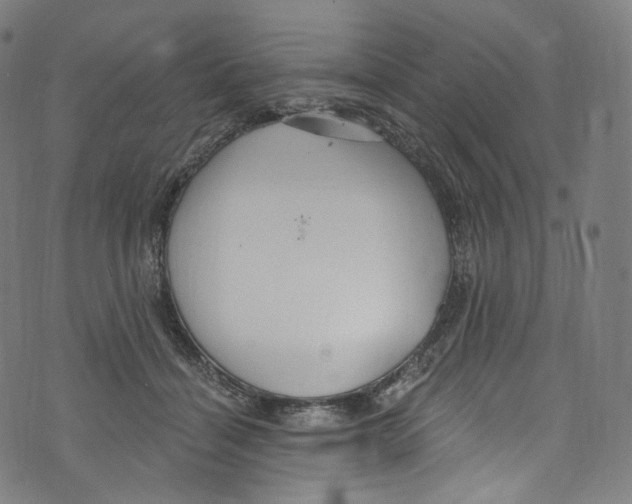 X0000072990460200608211520