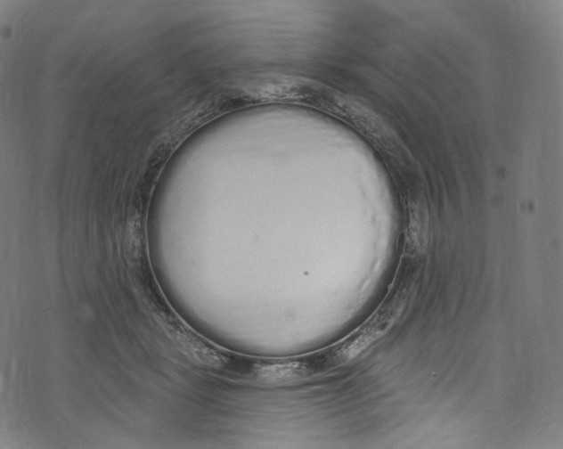 X0000072990461200608211520