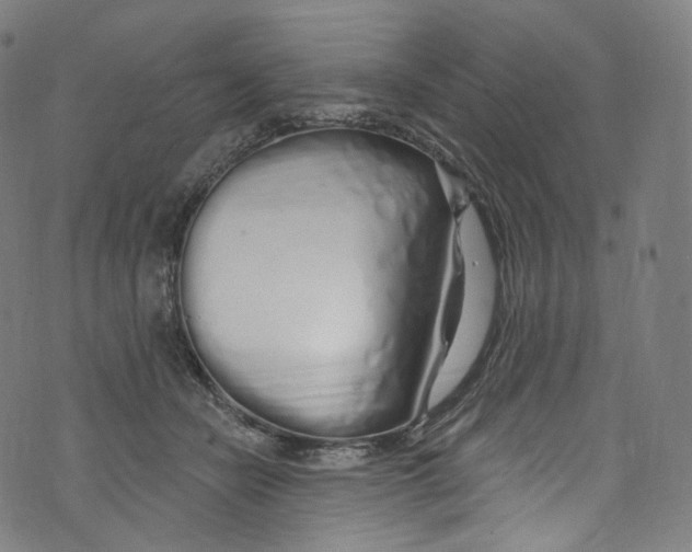 X0000072990462200608211520