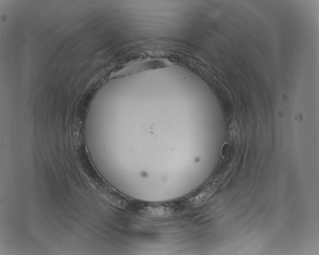 X0000072990464200608211520