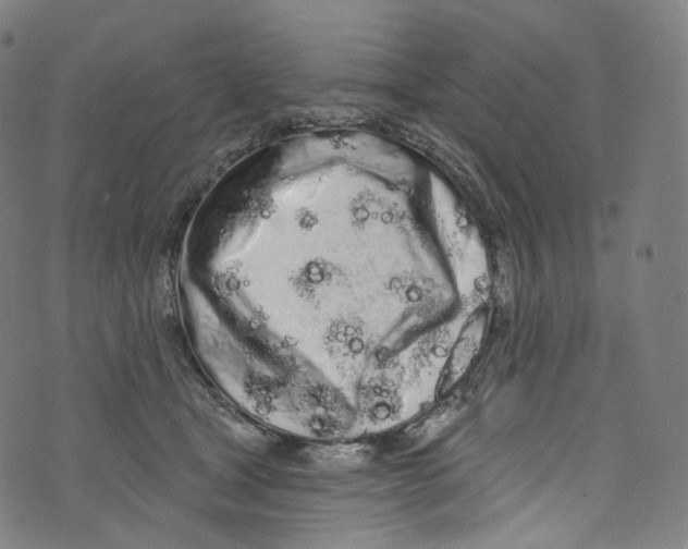 X0000072990465200608211520