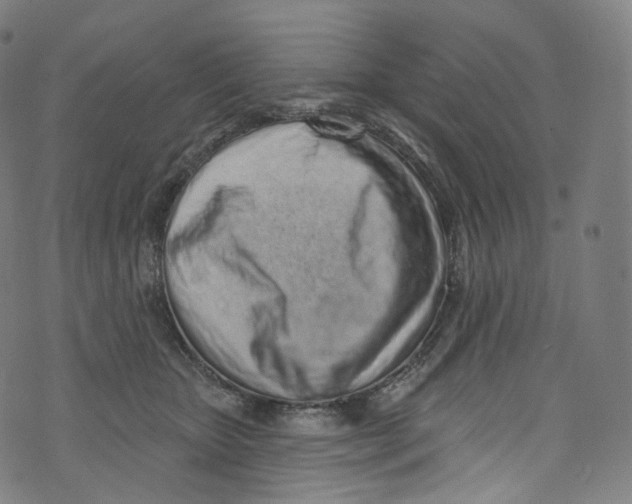 X0000072990467200608211520