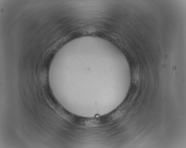 X0000072990468200608211520