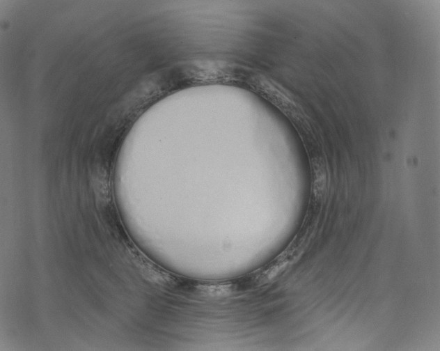 X0000072990469200608211520