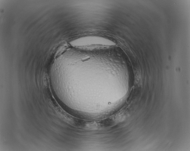 X0000072990470200608211520