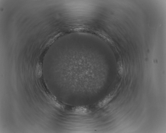 X0000072990471200608211520