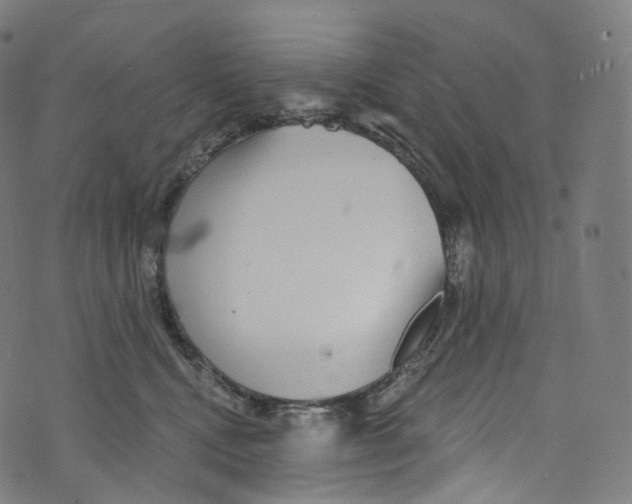 X0000072990472200608211520