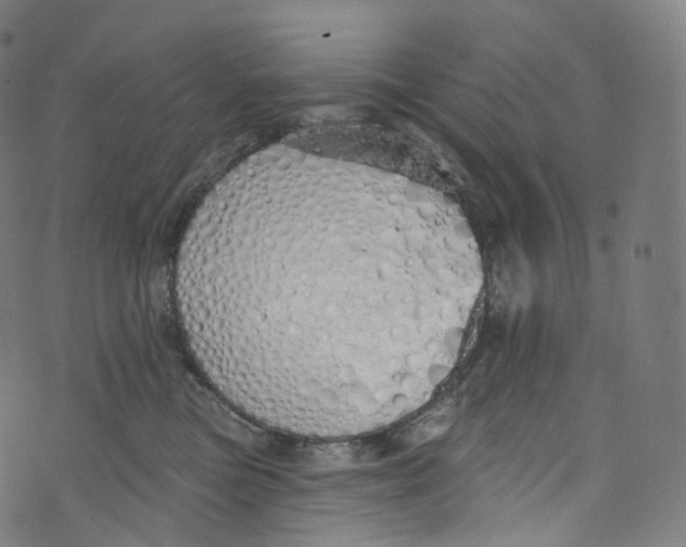 X0000072990473200608211520