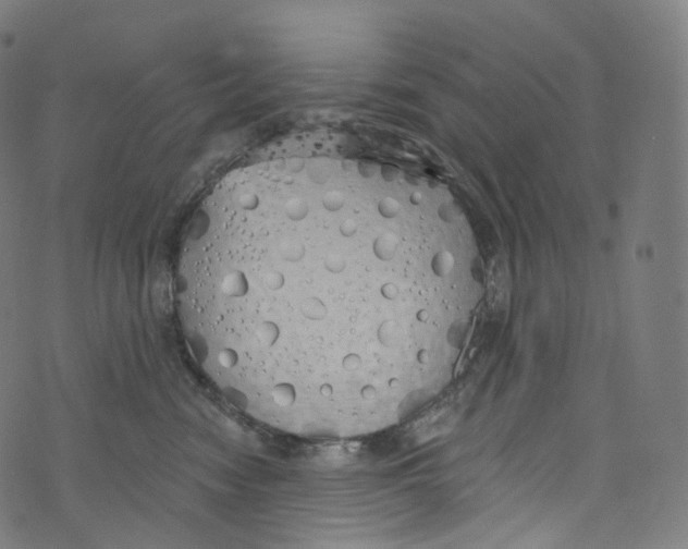 X0000072990474200608211520