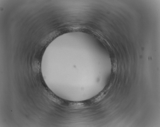 X0000072990476200608211520